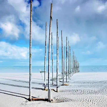 Zilt Texel Oda ve Kahvaltı