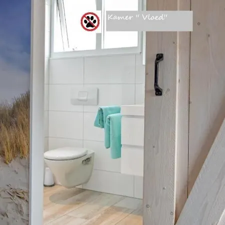 Zilt Texel Oda ve Kahvaltı