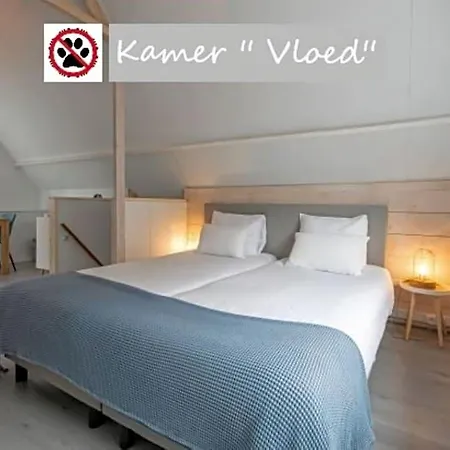 Zilt Texel 3*