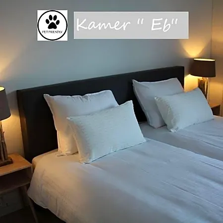 Zilt Texel 3* دي كوكْسدوربْ