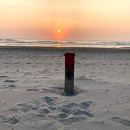Zilt Texel