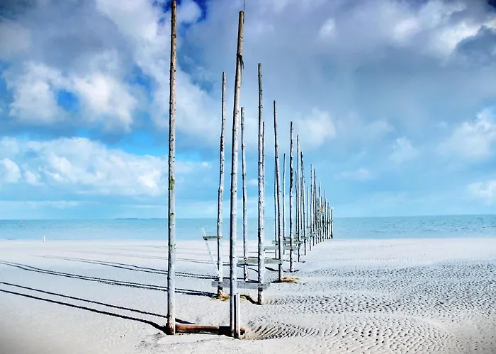 Zilt Texel Bed & Breakfast