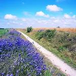 Bed & Breakfast Zilt Texel 3*