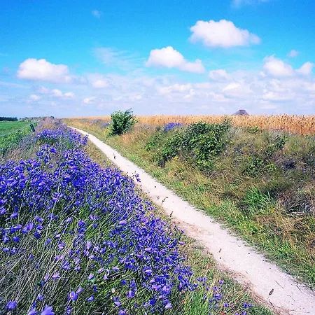 Bed & Breakfast Zilt Texel 3*