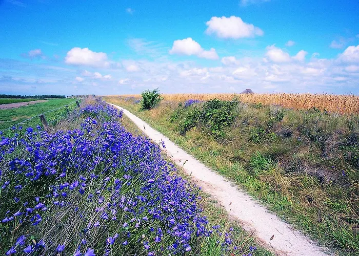 Bed & Breakfast Zilt Texel 3*