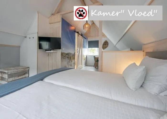 Bed & Breakfast Zilt Texel De Cocksdorp (Texel)