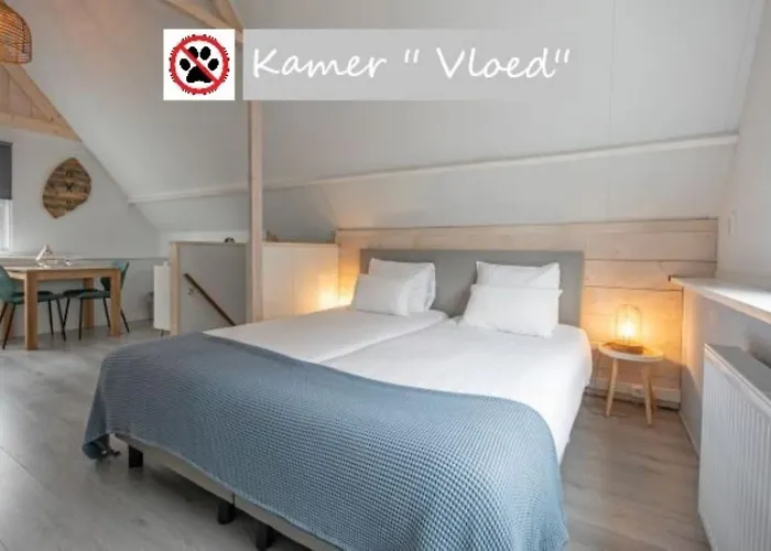 Zilt Texel Bed & Breakfast De Cocksdorp (Texel)